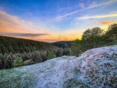 11 - 9ec1f9429c785030dca1fdbbafe2c3c7741c82d1db7292d5afcc28bdc98fedeb.JPG